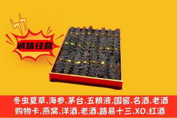 云霄县回收海参